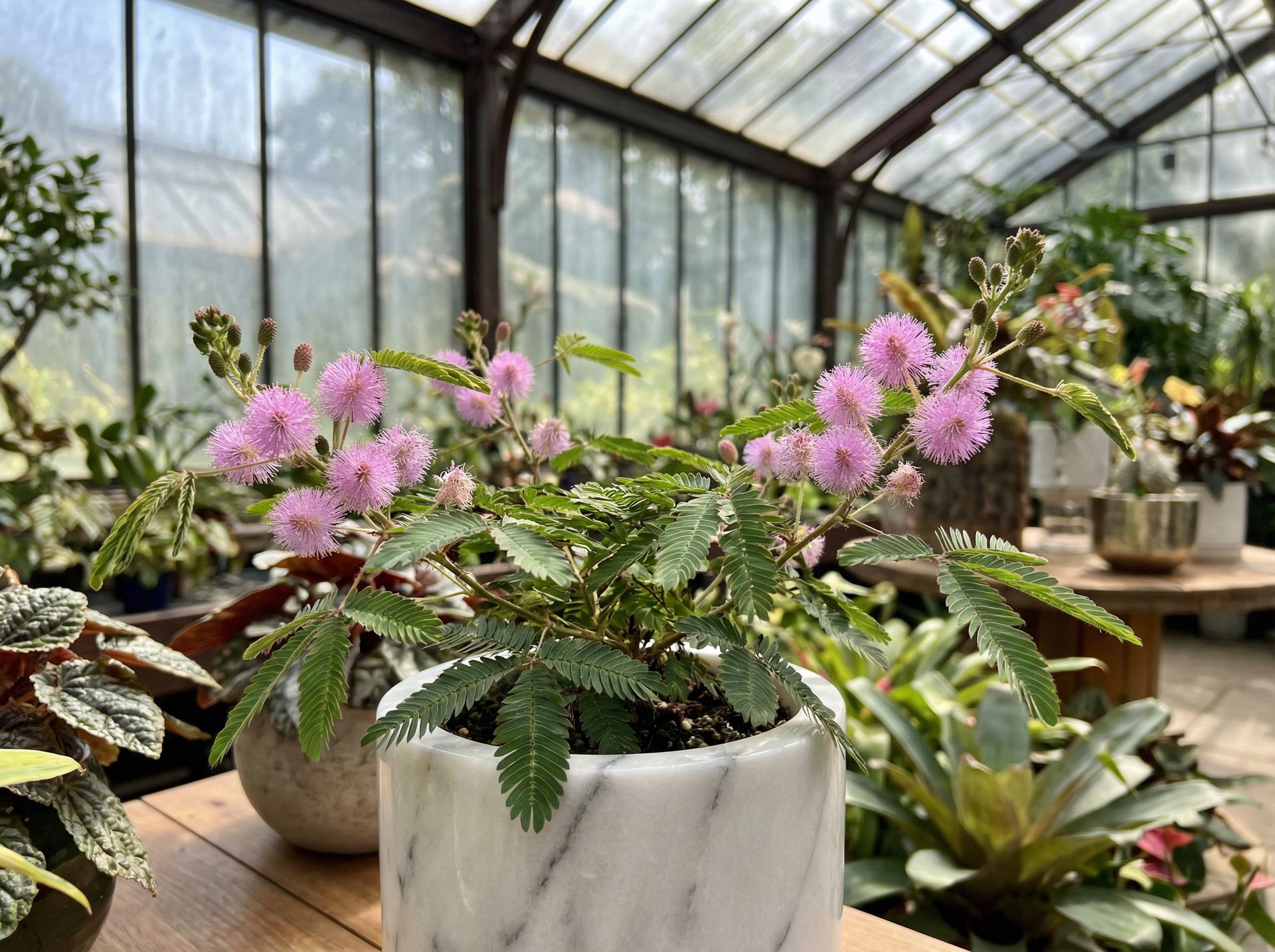 国产主播热门视频